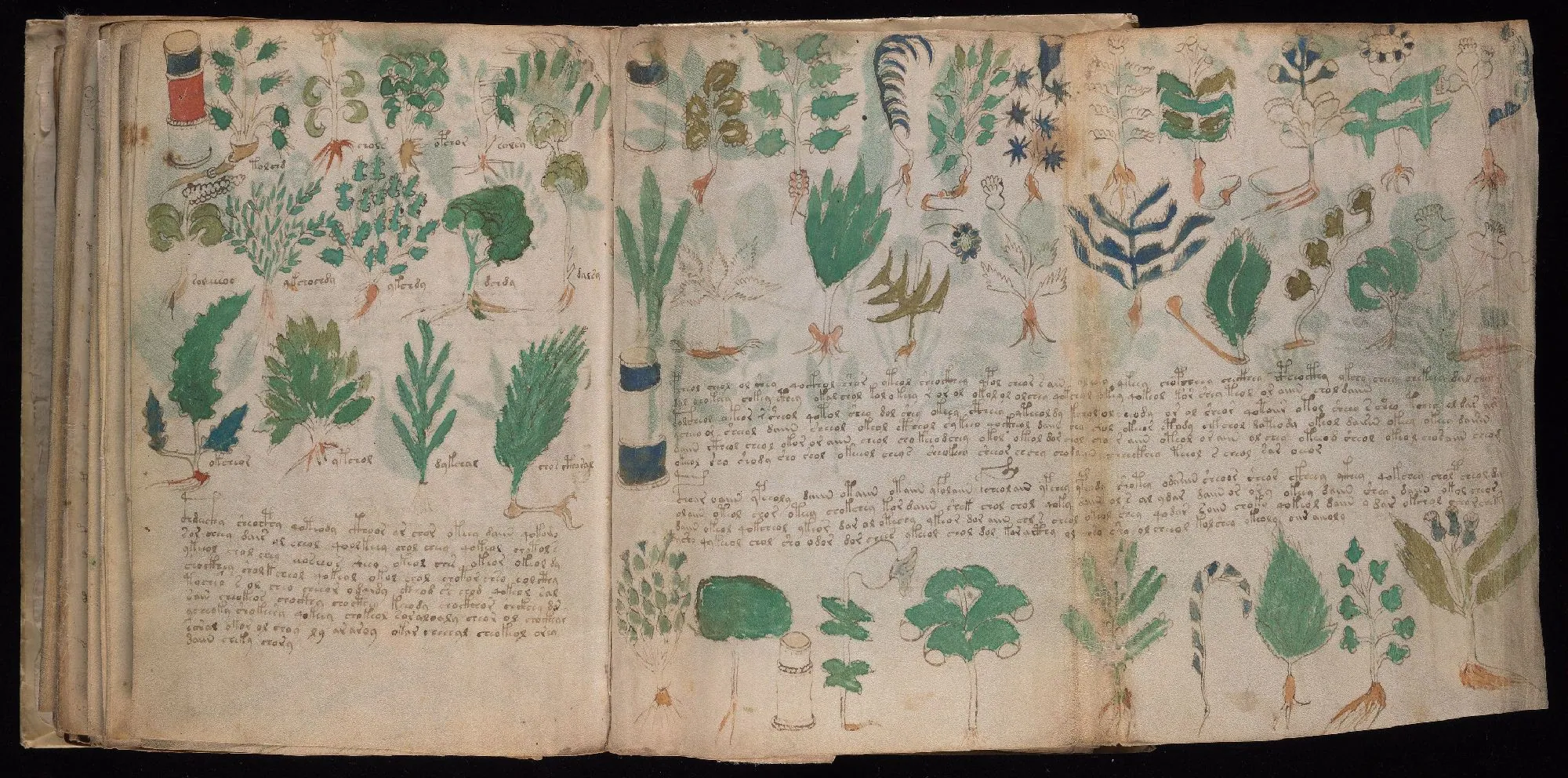 Folio 100v and 101r